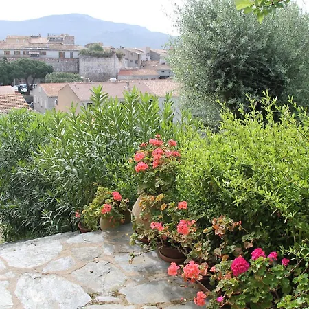 Les Oliviers Proche Centre Porto-vecchio Villa *